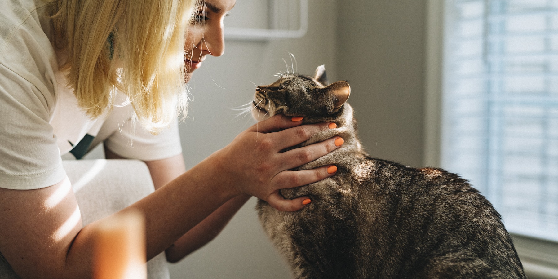 Dierenarts met kat bij Dierenkliniek Enkhuizen