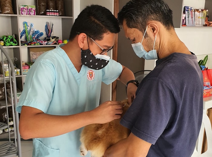 Het team van Dierenkliniek Enkhuizen